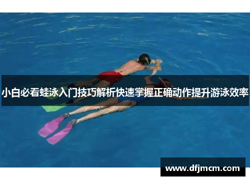 小白必看蛙泳入门技巧解析快速掌握正确动作提升游泳效率