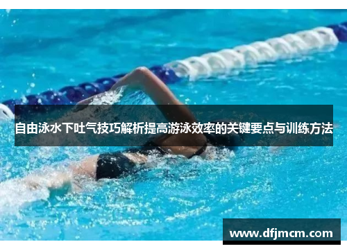 自由泳水下吐气技巧解析提高游泳效率的关键要点与训练方法