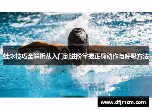 蛙泳技巧全解析从入门到进阶掌握正确动作与呼吸方法