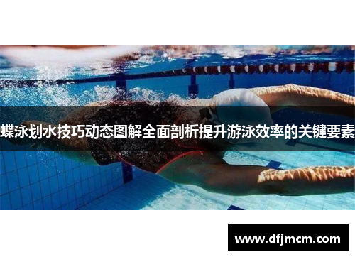蝶泳划水技巧动态图解全面剖析提升游泳效率的关键要素
